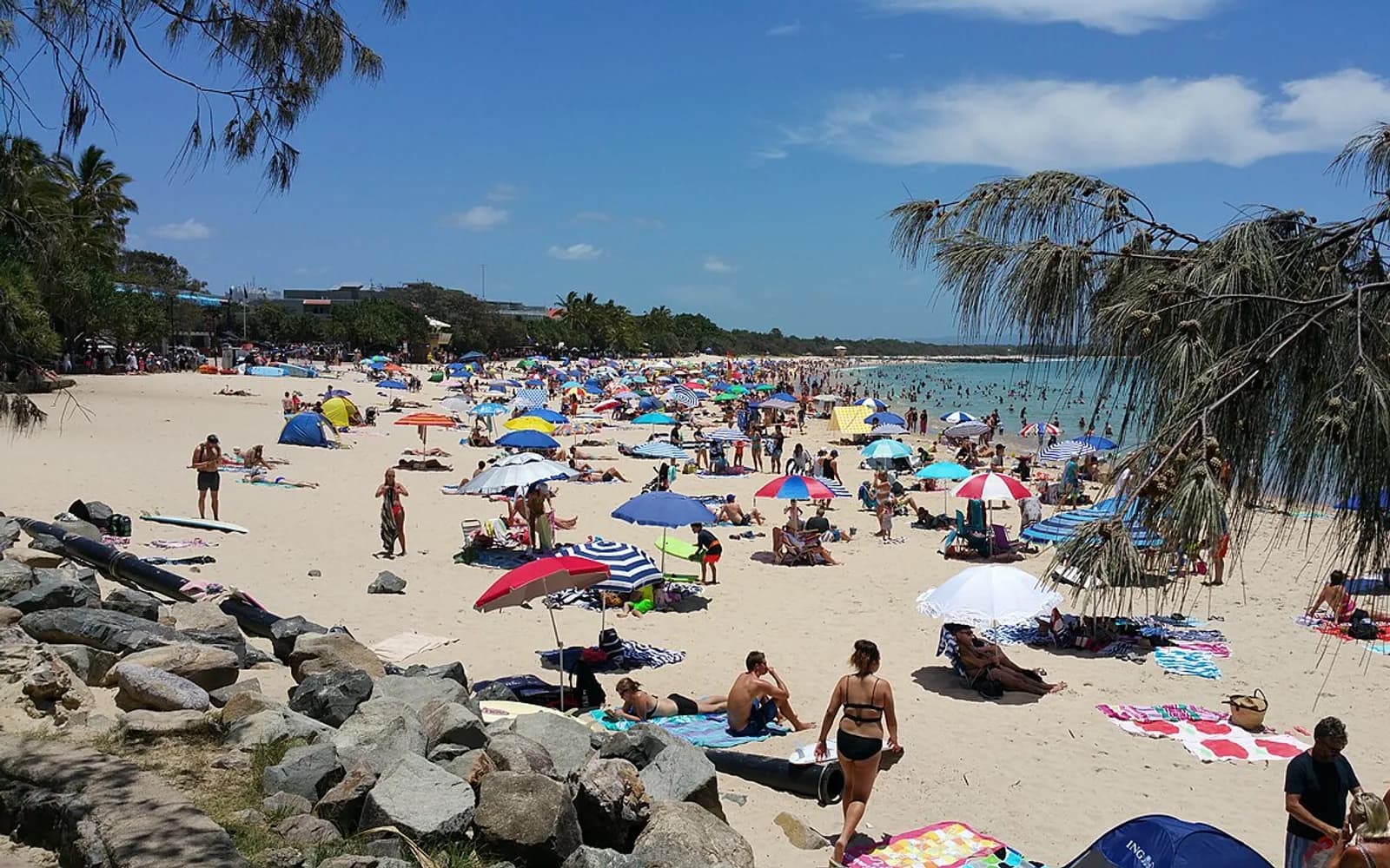 Noosa Main Beach viewed from the coastal boardwalk